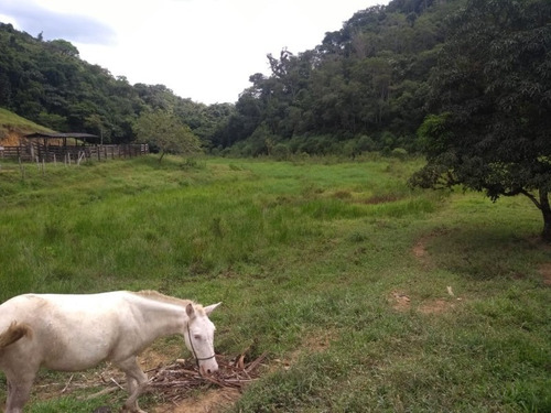 Fazenda - Fa00004 - 67650297