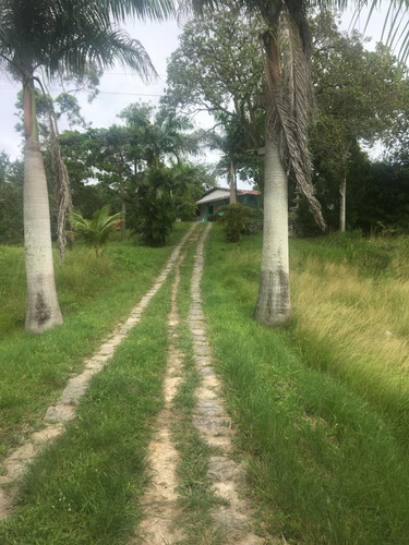 Imagem 3 de 20 de Qualidade De Vida Pra Você, Ótima Granja 06 Hec, Lazer Em Bonança, Aceito Imóvel/carro - Ch00022 - 68991934