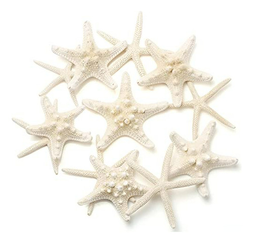 12 Estrellas De Mar | Decoración De Estrella De Mar De 2,5 A