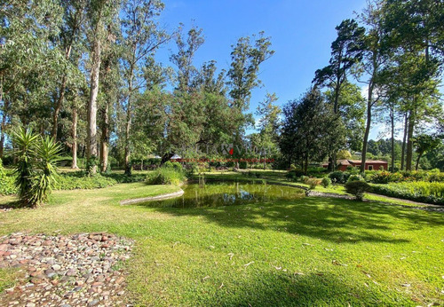 Imagen 8 de 8 de Casa En La Zona Del Golf, Ideal Para Vivir Todo El Año. Punta Del Este