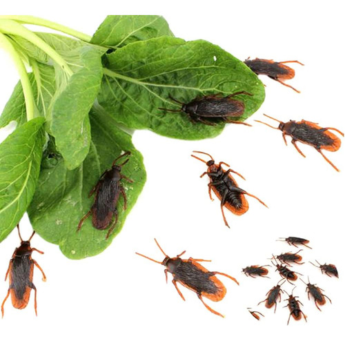 Gudves Broma Cucarachas Falsas Simulación De Goma Cucaracha