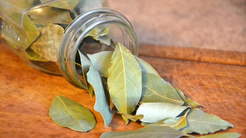 Hojas De Laurel - Especia Aromática En Bolsa