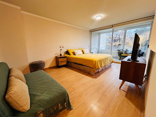 Duplex En Arriendo Estrella Solitaria Ñuñoa (95449)