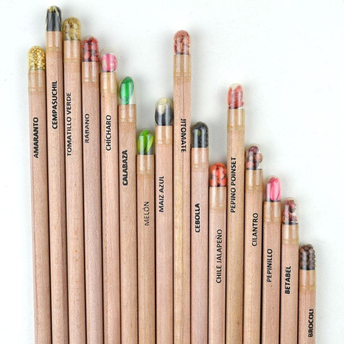 Lápiz Con Semillas Ecológico 30 Pz Personalizable Con Envío