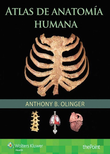 Olinger Atlas De Anatomía Humana Original Y