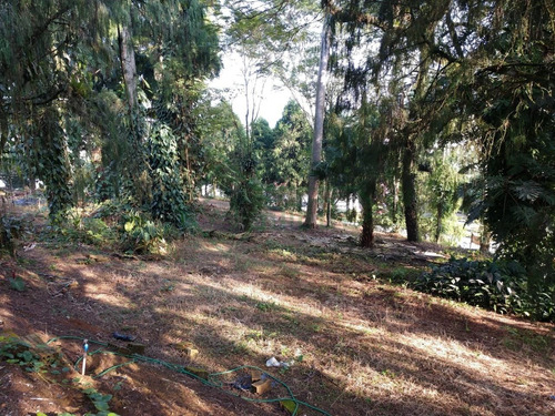 Imagem 13 de 14 de Mini Chácara No Bairro Glória|estuda Permuta| 4.328 M² - Sa00773 - 34103277