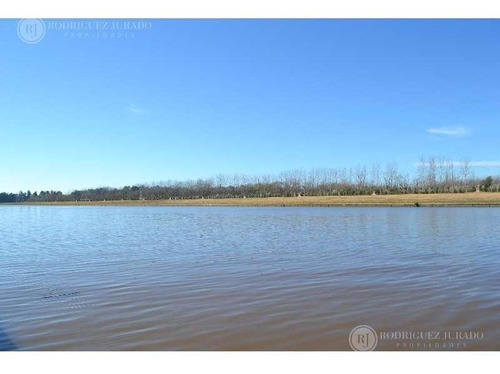 Imagen 1 de 1 de Excelente Lote Al Rio En San Juan - Villanueva - Tigre