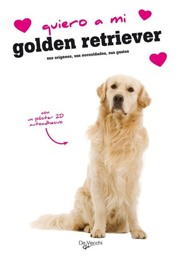 Golden Retriever Quiero A Mi . Con Poster 2d