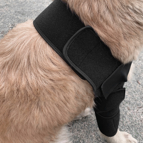 C Coderas Protectoras Para Perros