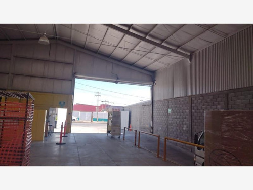 Bodega Comercial En Renta San Felipe