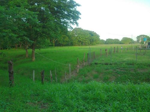 Imagen 8 de 22 de Finca Sector Caroní Estado Barinas En Venta