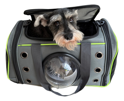 Transportadora De Gatos Y Perros Pequeños Con Cápsula Visión Negro / Verde