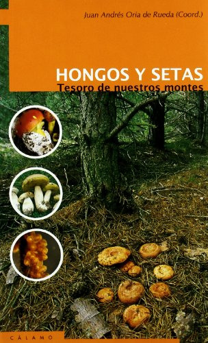 Hongos Y Setas : Tesoros De Nuestros Montes