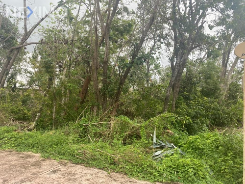 Imagen 5 de 6 de Venta Terreno 0 Ambiente Lagos Del Sol