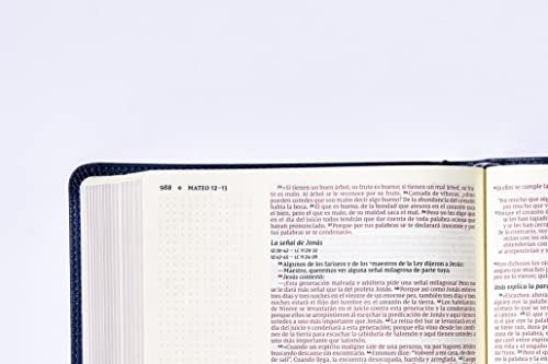 Nvi, Santa Biblia, Revisión 2022, Edición Para Notas, Leathe