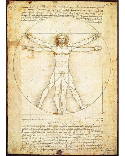 Imagen 2 de 2 de Da Vinci Hombre Vitruvio Rompecabezas 1000 Pza Eurographics