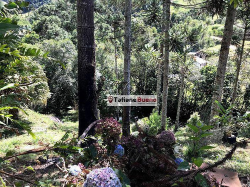 Imagem 24 de 30 de Chácara 12.000 M, Com Cachoeira - Ch0075