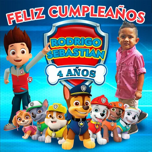 Paw Patrol Lona Para Fiesta Personalizada Con Foto 3.15m²