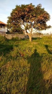 Imagem 4 de 6 de Terreno Medindo 650 Metros Em Itanhaém Litoral Sp - 7743 Npc