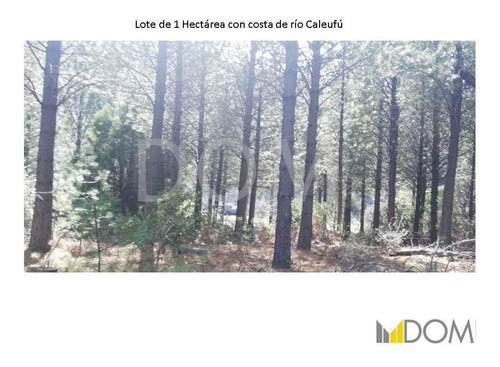 Imagen 8 de 13 de Impresionante Lote De 1ha Con Costa De Río