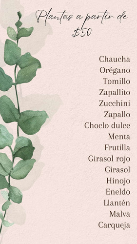 Plantines De Huerta Y Más