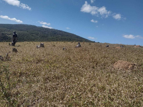 Imagem 1 de 14 de S20- Lotes Para Seu Lazer Ou Investimento Em Nazaré
