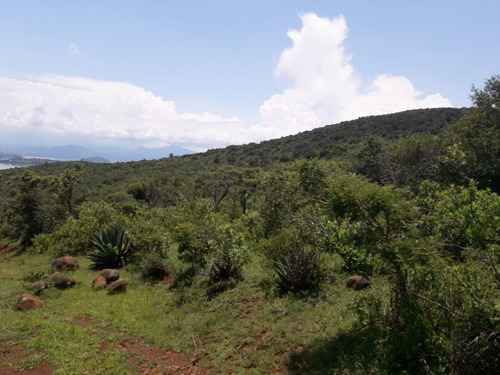 Imagen 7 de 7 de Terreno En Venta En Oponguio Con Vista Al Lago