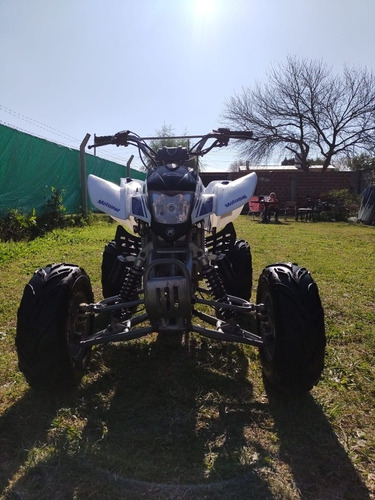 Imagen 3 de 5 de Motomel Pitbull