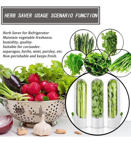 2024 Conservador De Hierbas Frescas, Cilantro Contenedor 1ps