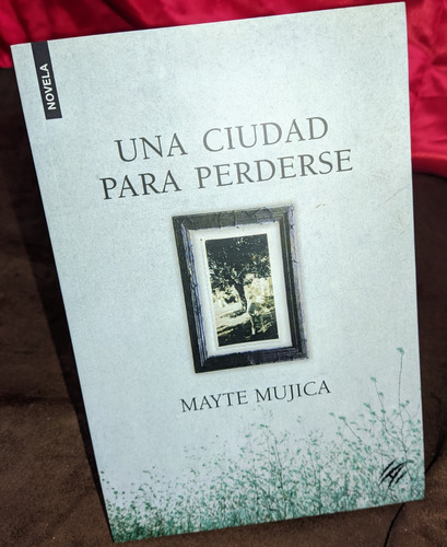  Una Ciudad Para Perderse Mayte Mujica Ed Animal De Invierno