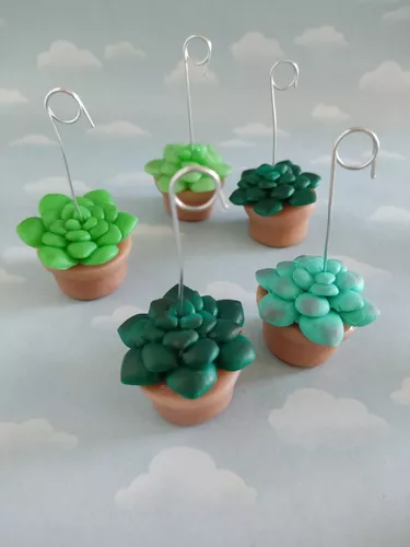 Apliques /imán 10 souvenirs cactus suculentas porcelana fría
