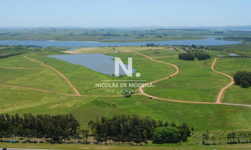 50 Metros De Costa, Acepta Financiacion Sin Interes, Venta, Chacra, Punta Del Este, Uruguay, Laguna De Los Cisnes