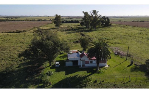 Imagen 3 de 23 de Casa De Campo Sobre La Ruta, 7,4 Hectareas, Sobre Ruta, Oportunidad !