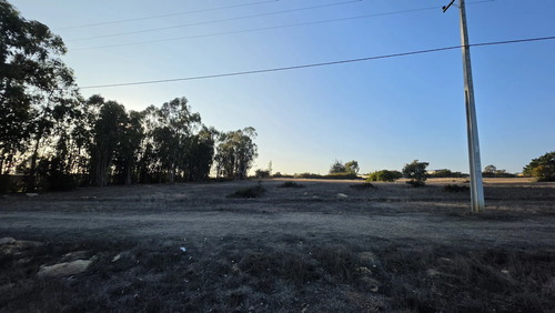 Parcelas Planas En Algarrobo Norte En Condominio Consolidado