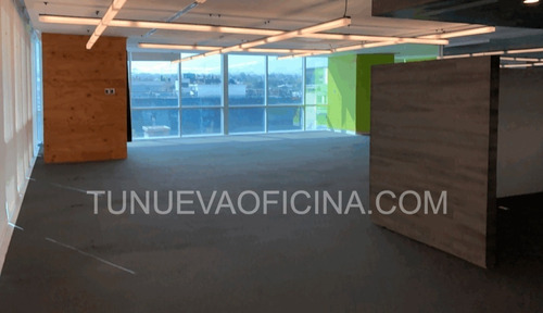 Renta Oficina 317m2 Acondicionada-lomas De Chapultepec,migue