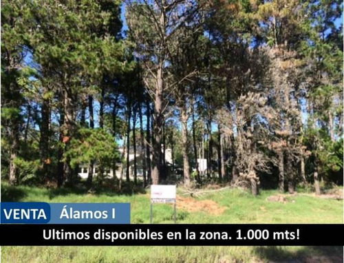 Imagen 2 de 7 de Venta - Terreno En Pinamar - Goleta Hercules E/av. Enrique Shaw Y De La Deriva