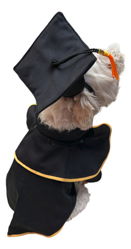 Disfraz De Graduado Para Mascotas Talla 2