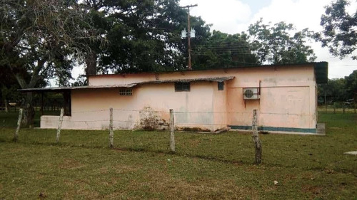 Imagen 6 de 14 de Fabulosa Finca En Maturin