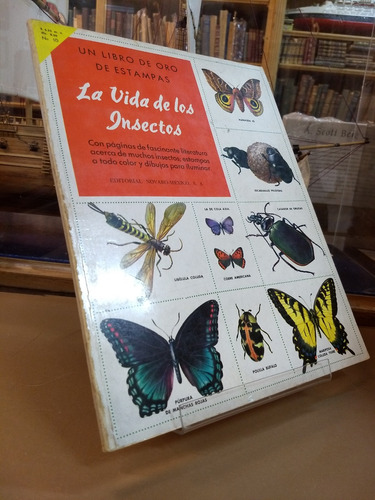 La Vida De Los Insectos - Hooward Curran Primera Edición