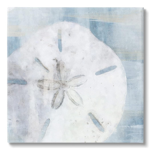 Stupell Industries Pastel Blue Sand Dollar Seashell Canvas W