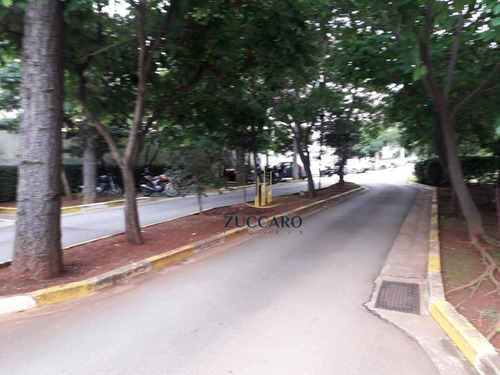Apartamento À Venda, 50 M² Por R$ 250.000,00 - Jardim Iporanga - Guarulhos/sp - Ap13891