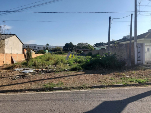 Imagem 1 de 10 de Lote / Terreno Em Campina Da Barra - Araucária - 446