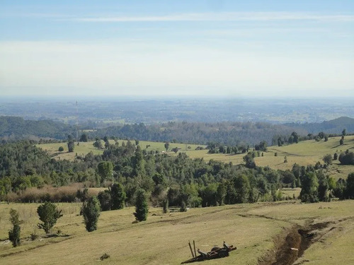 Ganaderas En Venta En Lago Ranco