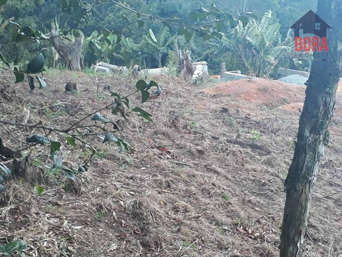 Imagem 2 de 11 de Terreno À Venda, 250 M² Por R$ 80.000 - Cabreúva - Mairiporã/sp - Te0229