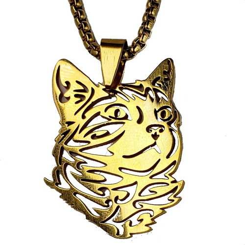 Dije Gato Dorado Acero Inoxidable Con Cadena Mujer Hombre