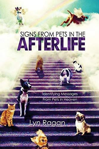Signs From Pets In The Afterlife: Identifying Messages From 