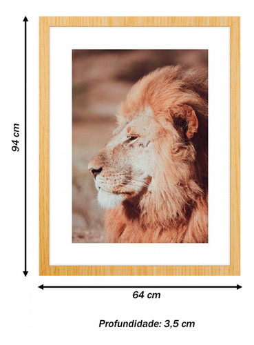 Marcos decorativos de león con cristal 94 cm x 64 cm 591001