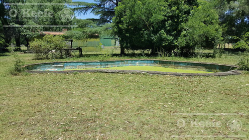 Imagen 11 de 15 de Punta Indio 100 Has Campo En Venta - Ideal Feed Lot - Oportunidad