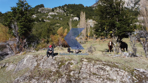 Hermoso Terreno Con Río En Venta En Futalefu