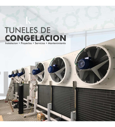 Tuneles De Congelación Iqf Sistemas De Ultra Baja Temperatur